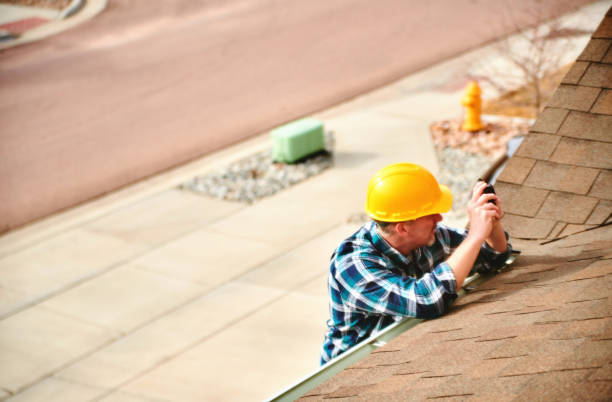 Best Roof Gutter Cleaning  in Douglas, AZ