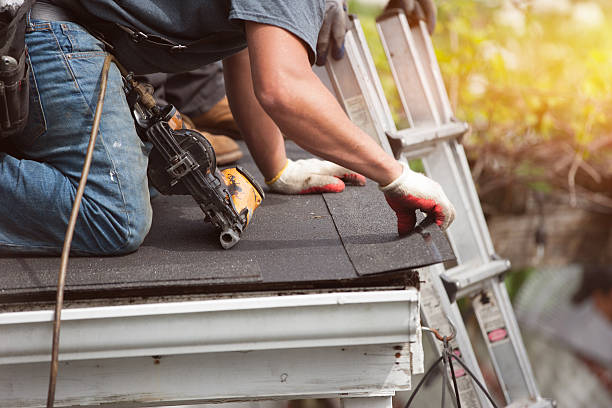 Best Residential Roof Replacement  in Douglas, AZ
